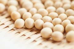 大豆